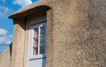 Thornhills thatch roof disadvantages